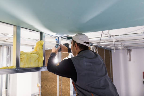Best Specialty Insulation in Pawnee, IL