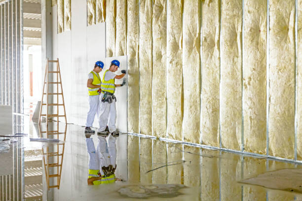 Best Energy Efficiency Solutions in Pawnee, IL